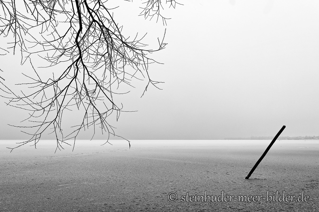 Winterstarre - Eisdecke af dem Steinhuder Meer