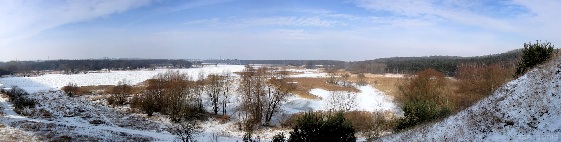 Winterstarre im Odertal