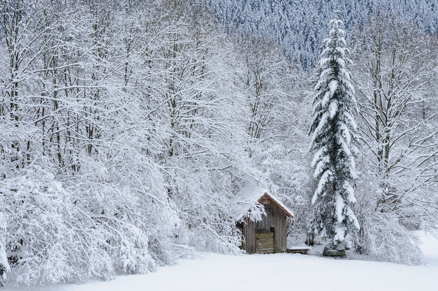 Winterstart im Schwarzwald