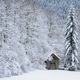 Winterstart im Schwarzwald