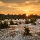 Winterstart in der Fröttmaninger Heide