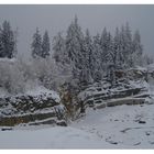 Wintersteinbruch im Fichtelgebirge