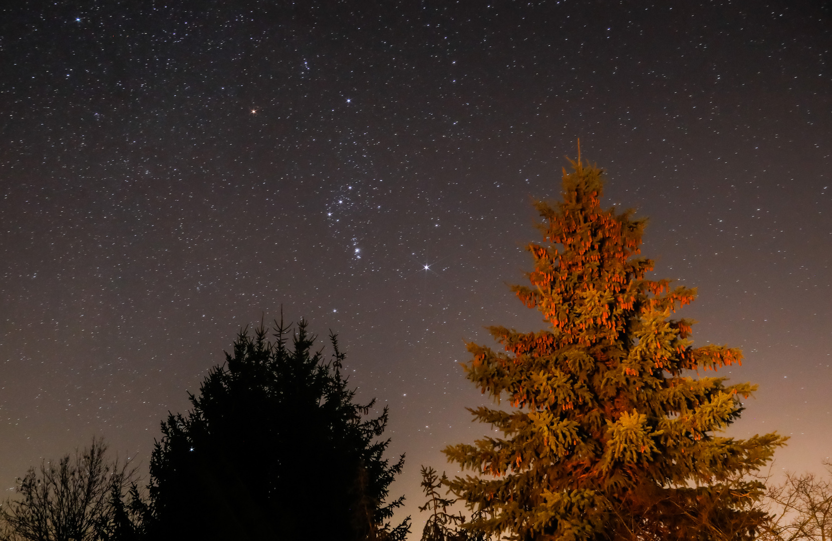 Wintersternbild Orion mit Beteigeuze und Riegel