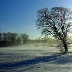 Winterstille (5)