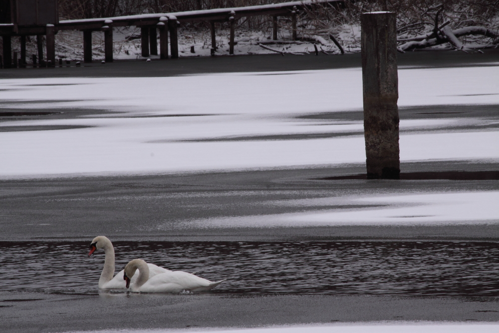 Winterstille