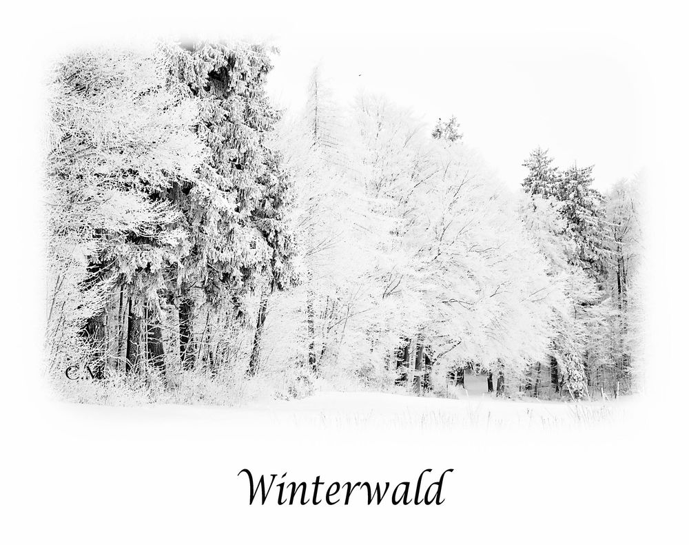 Winterstille