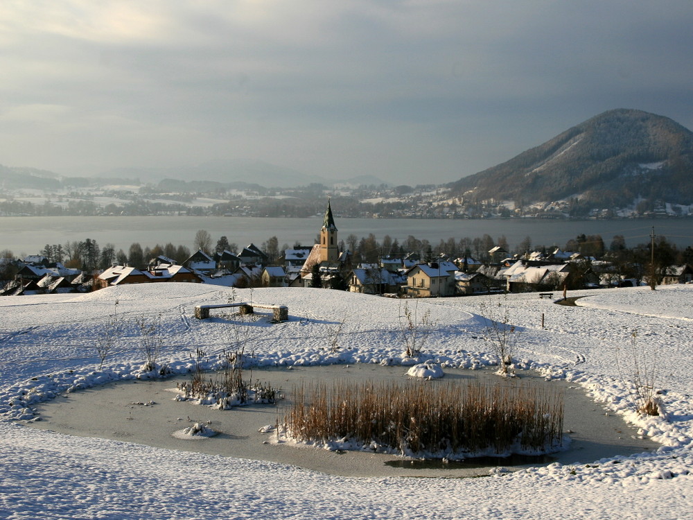 Winterstille am Golfplatz