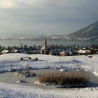 Winterstille am Golfplatz