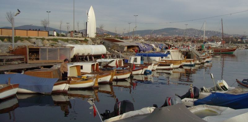 Winterstille am Hafen