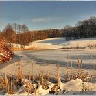 Winterstille am kleinen Teich