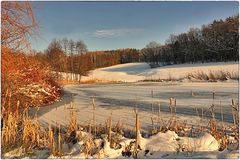 Winterstille am kleinen Teich