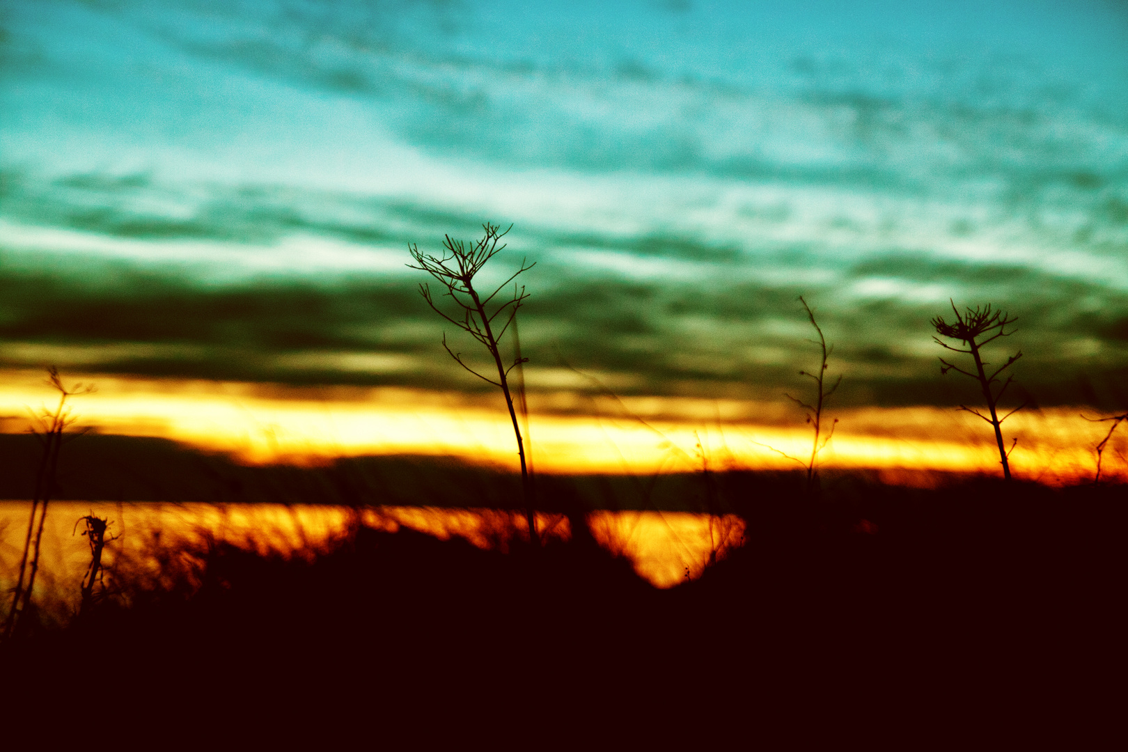 Winterstille auf Hiddensee