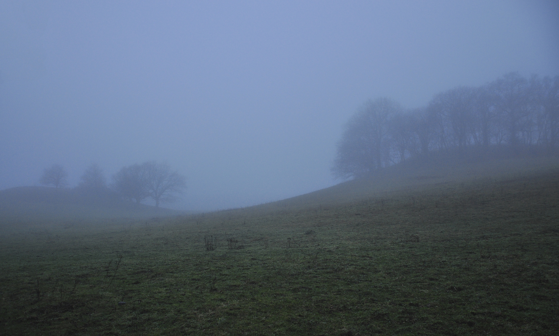 Winterstille auf Hiddensee