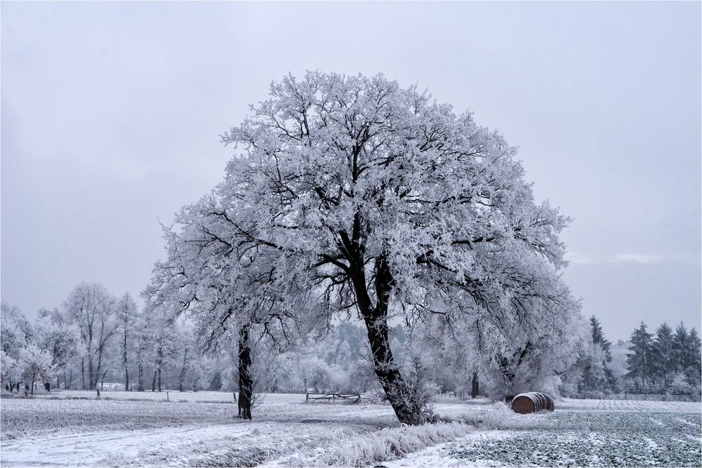 Winterstille