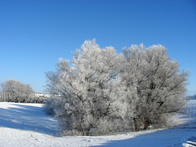 Winterstille... das hoffentlich letzte Bild vorerst!