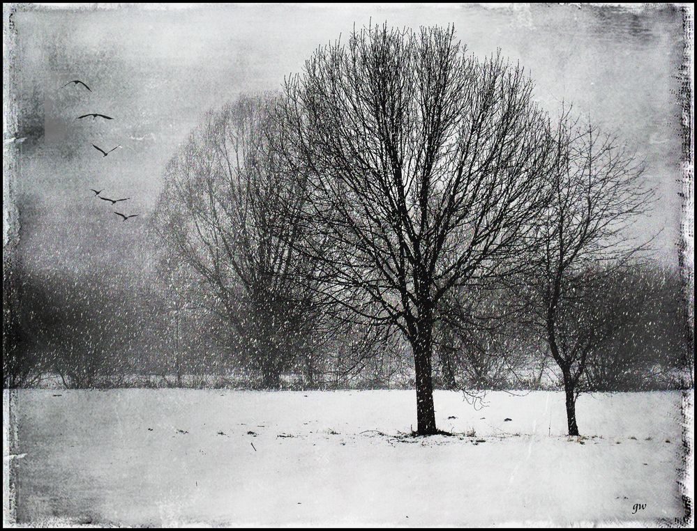 - winterstille II -