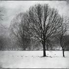 - winterstille II -