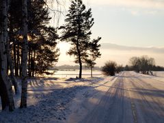 Winterstille im Brandenburger Land