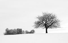 Winterstille monochrom