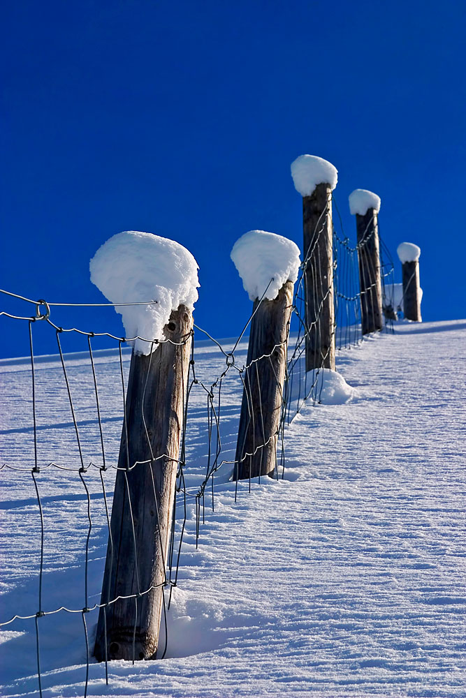 Winterstilleben