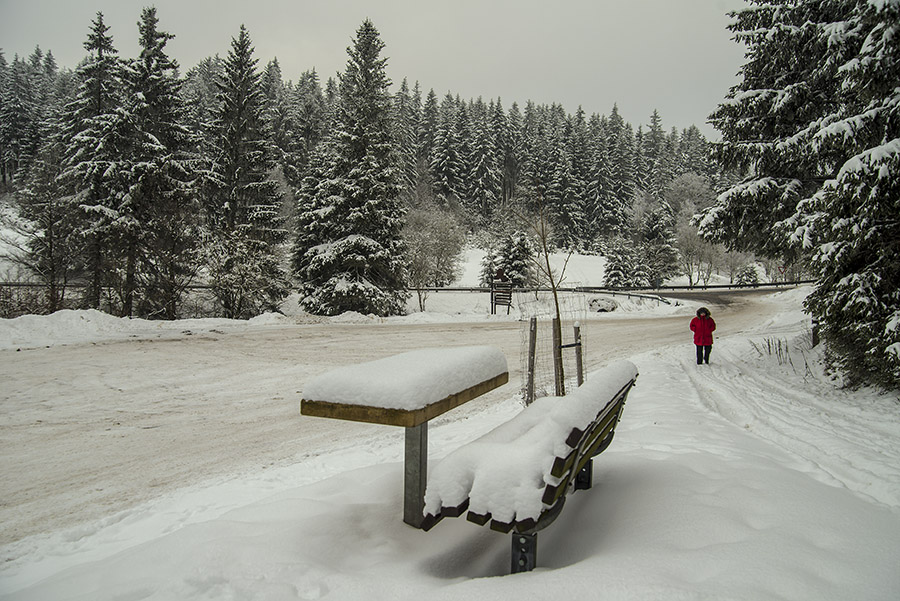 Winterstillleben