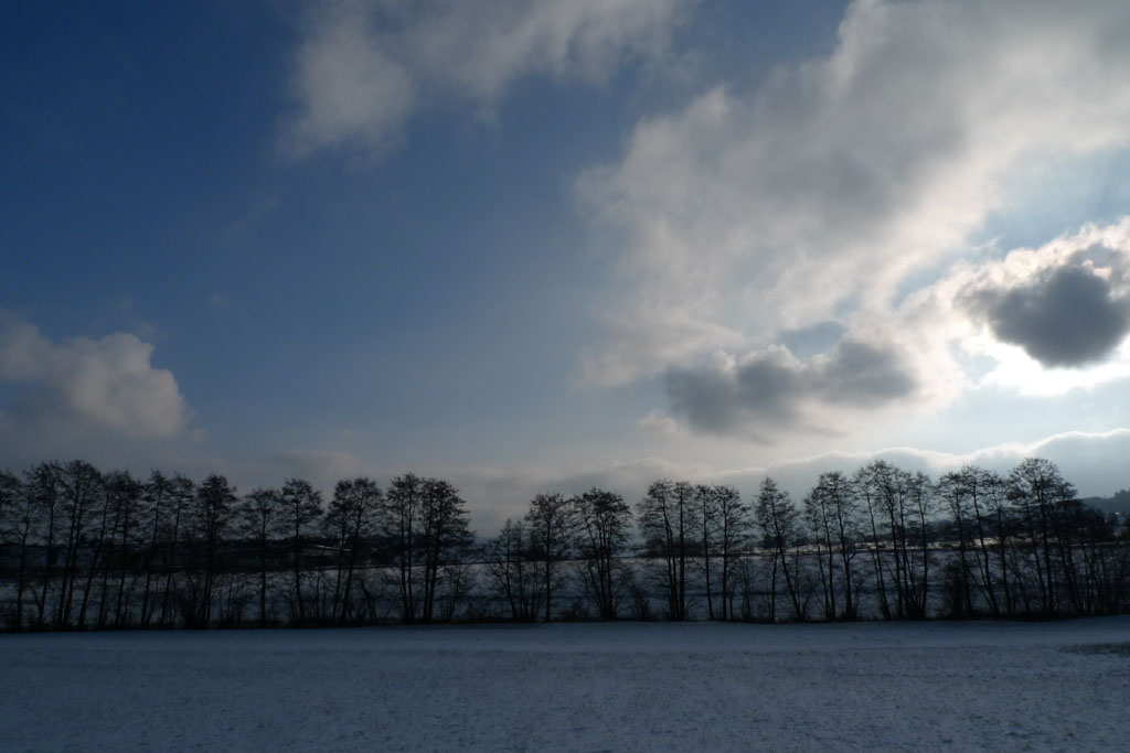 Winterstimmung