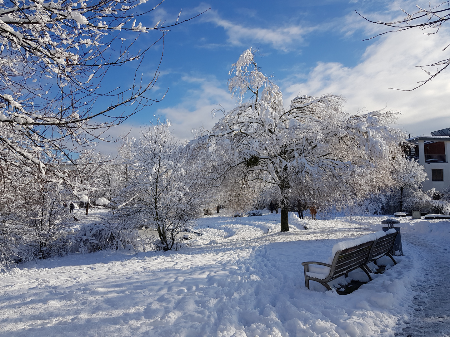 Winterstimmung