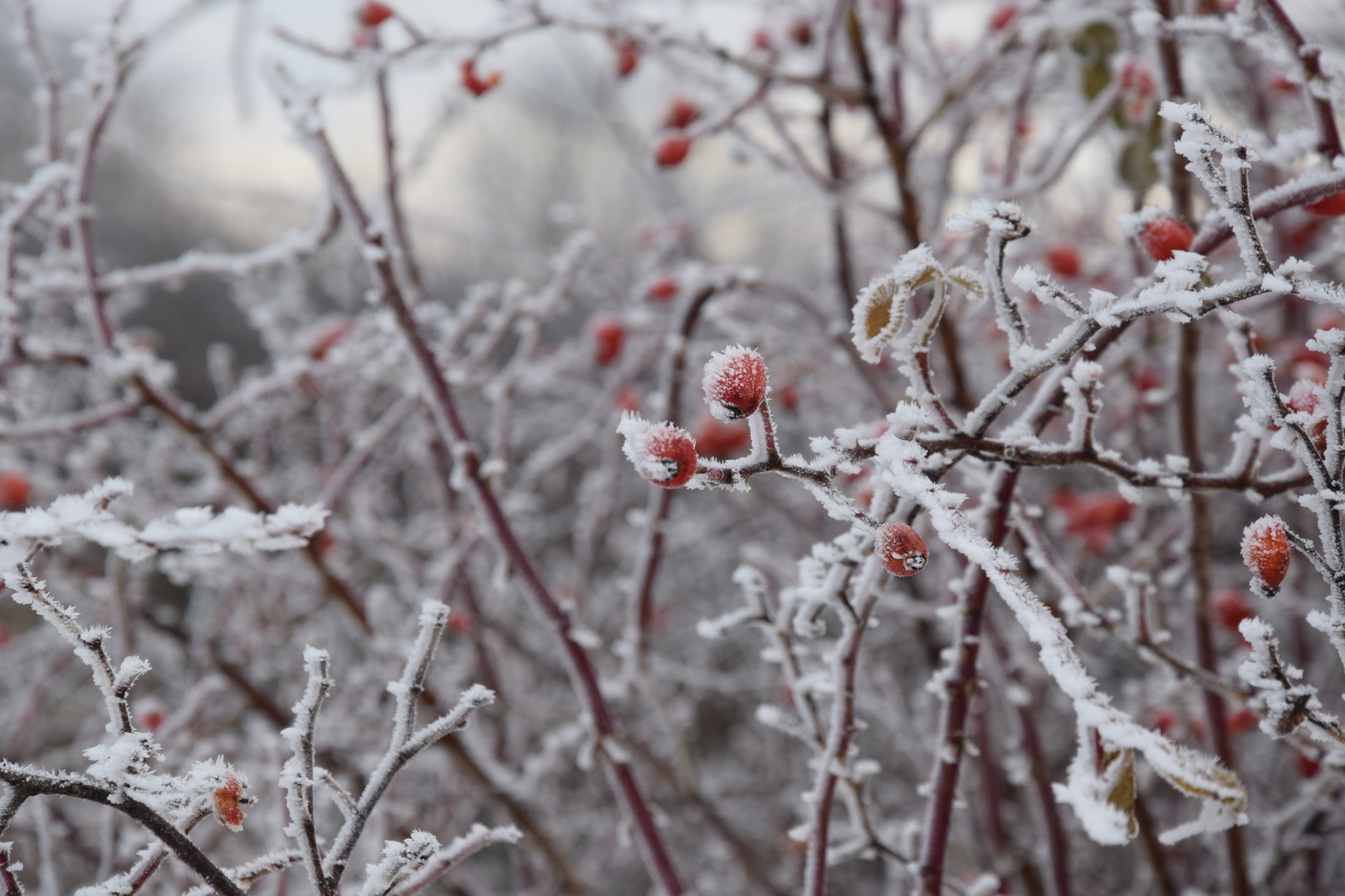 winterstimmung