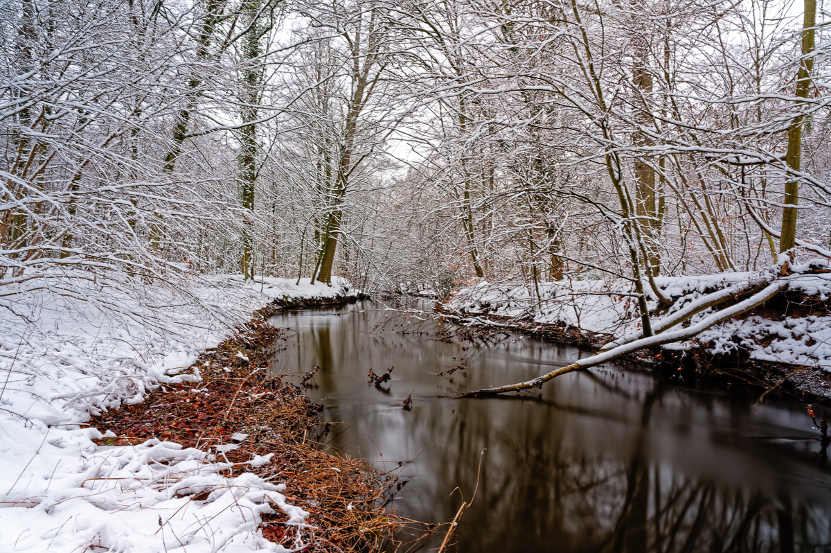 Winterstimmung