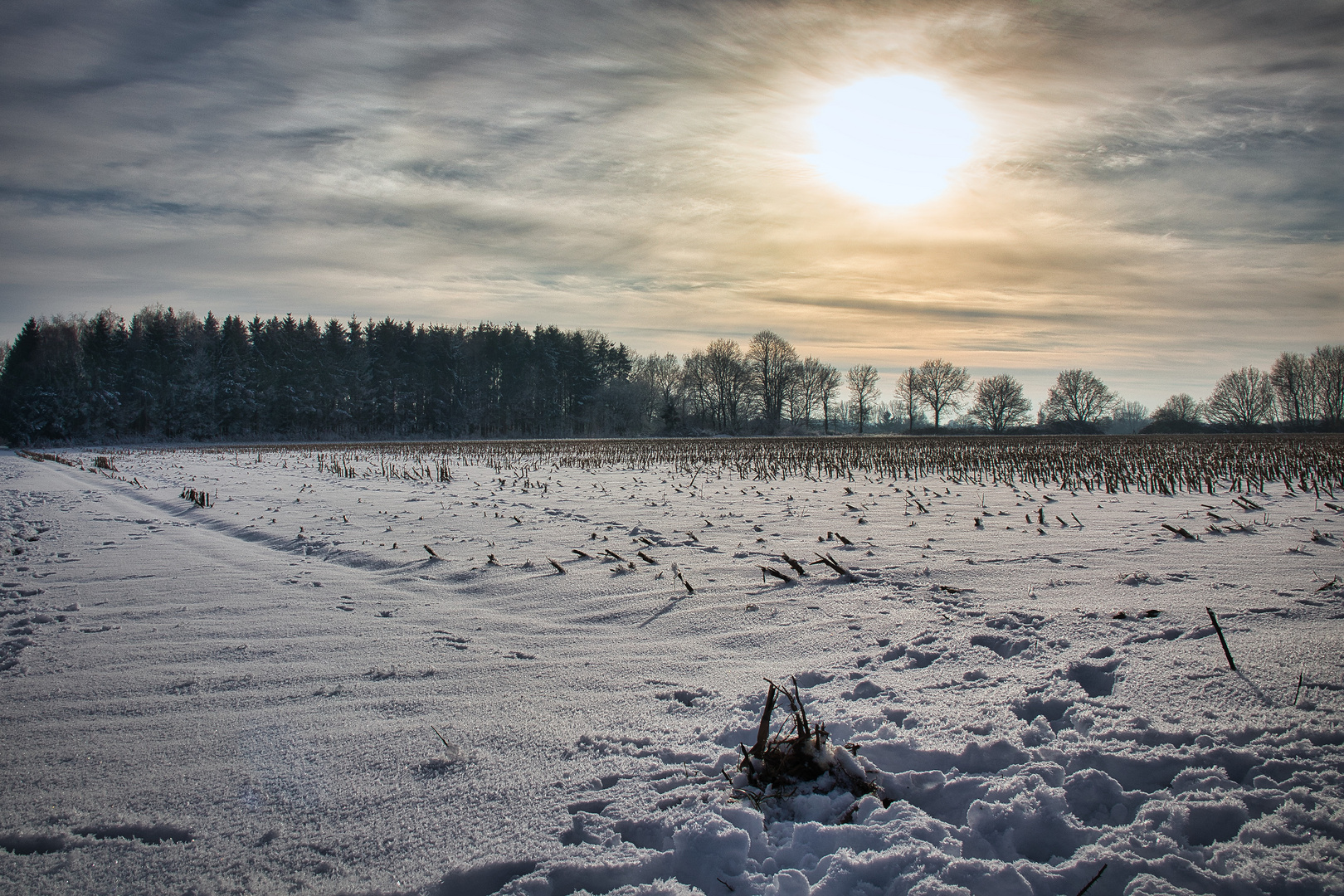 Winterstimmung