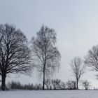 Winterstimmung