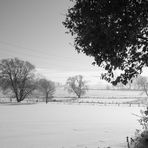 Winterstimmung -3-