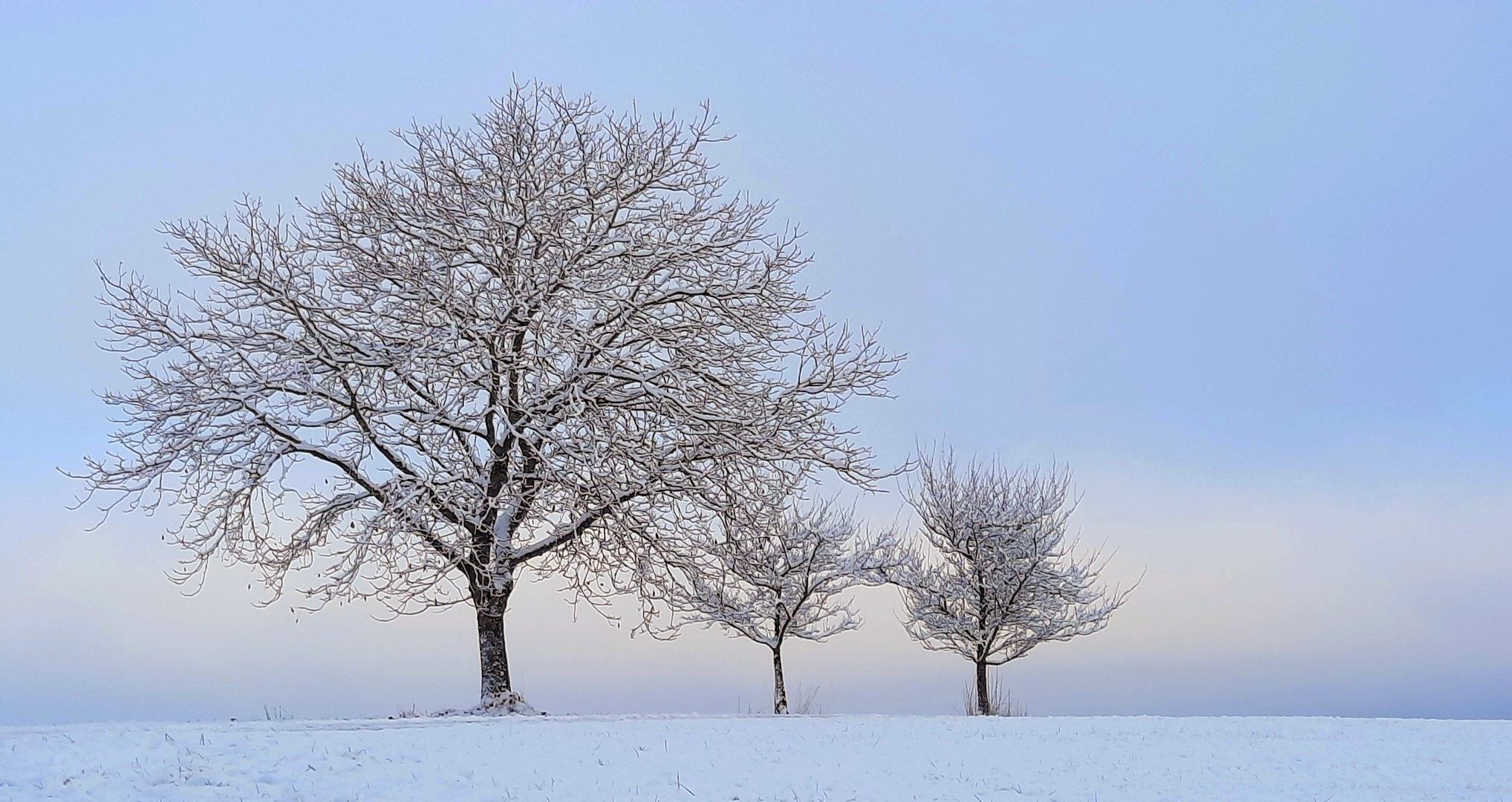 Winterstimmung