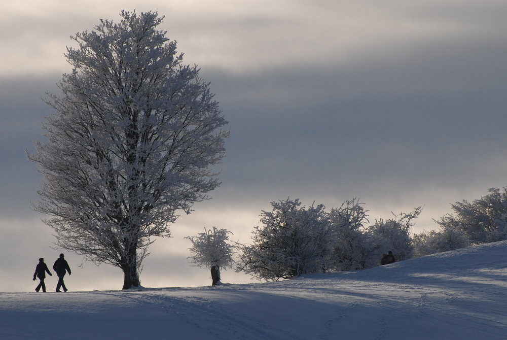 Winterstimmung