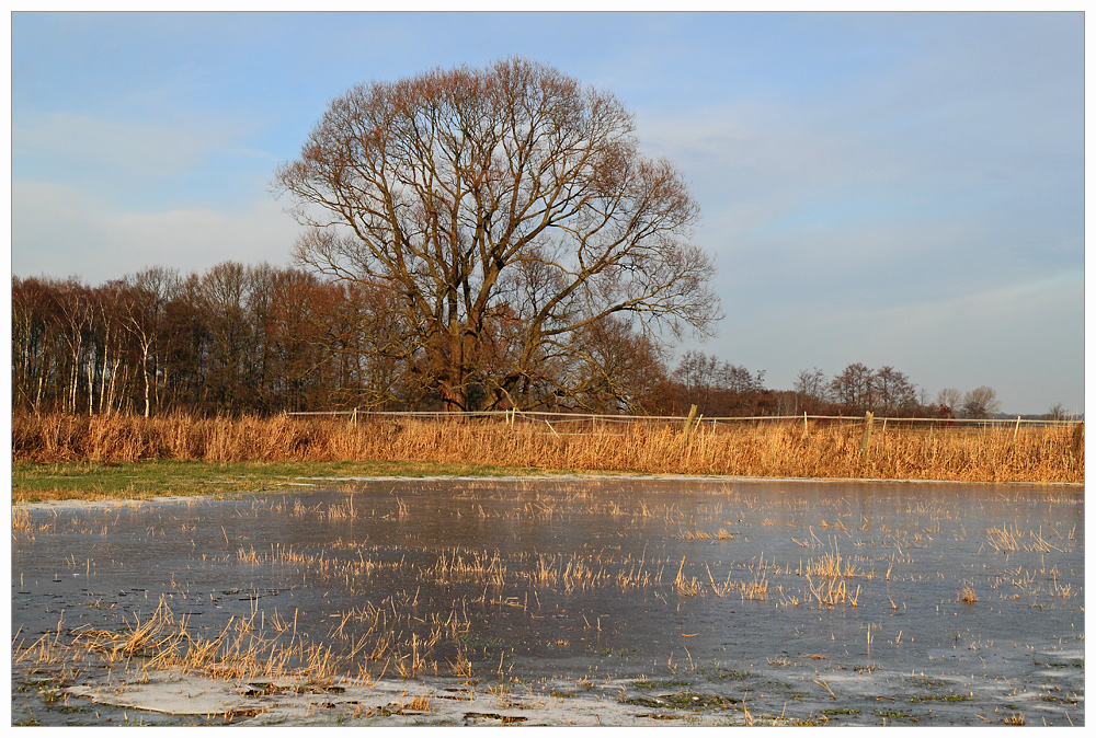 Winterstimmung