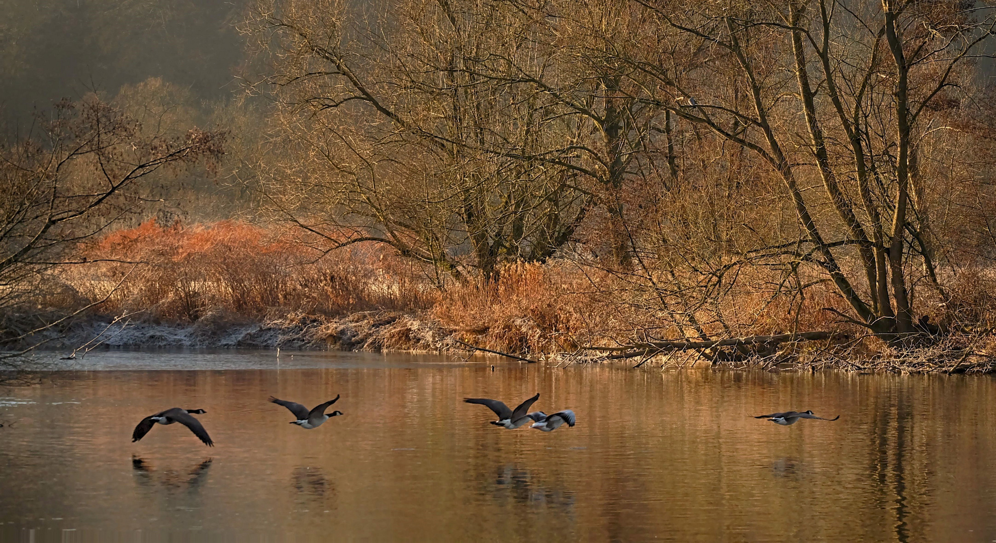 Winterstimmung