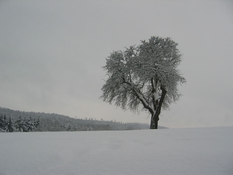 Winterstimmung