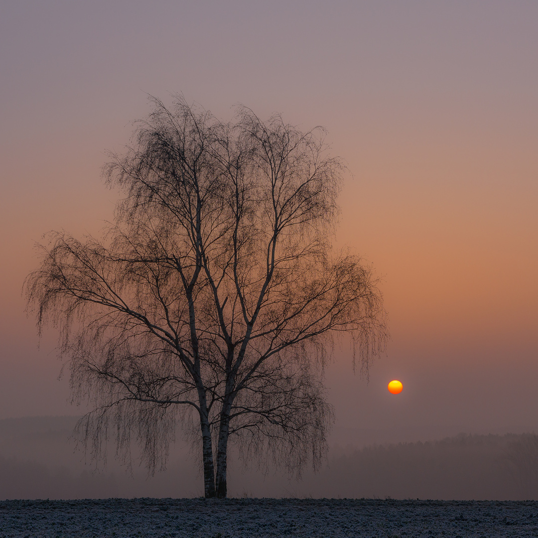 Winterstimmung 