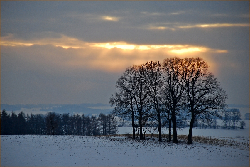 Winterstimmung