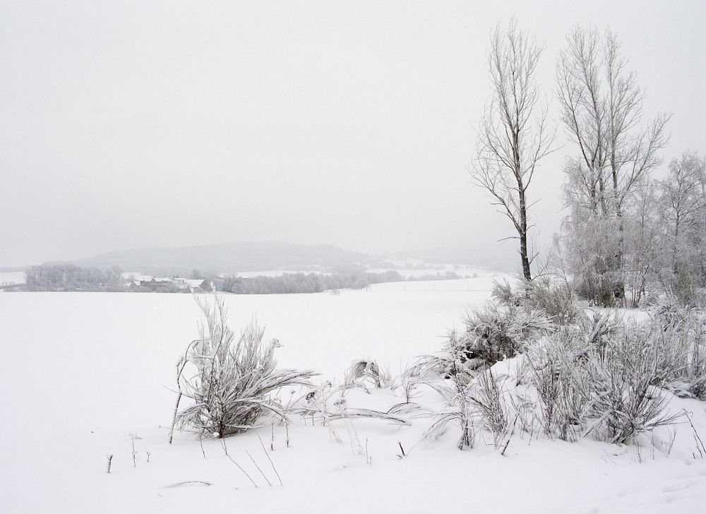 Winterstimmung von Dietmar Buttig
