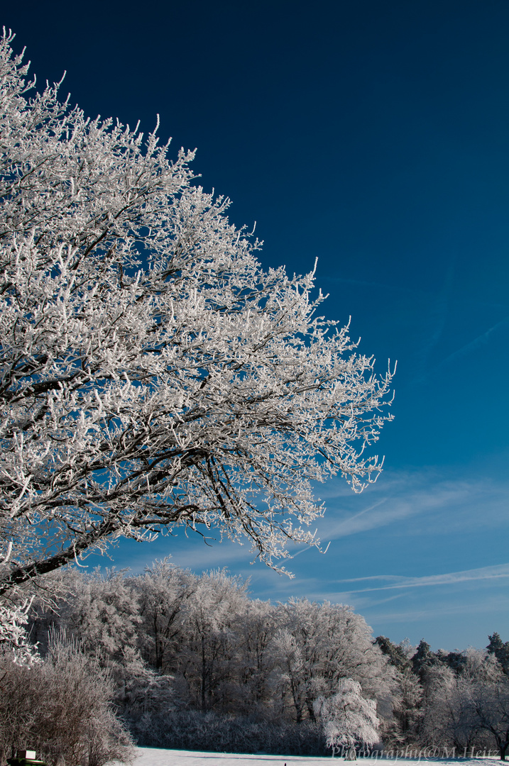 Winterstimmung