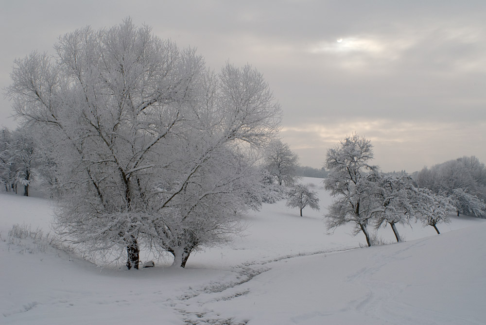 Winterstimmung