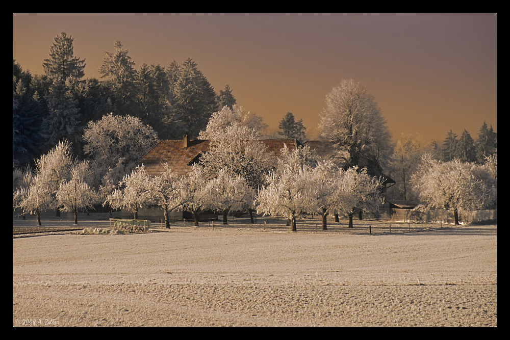 Winterstimmung