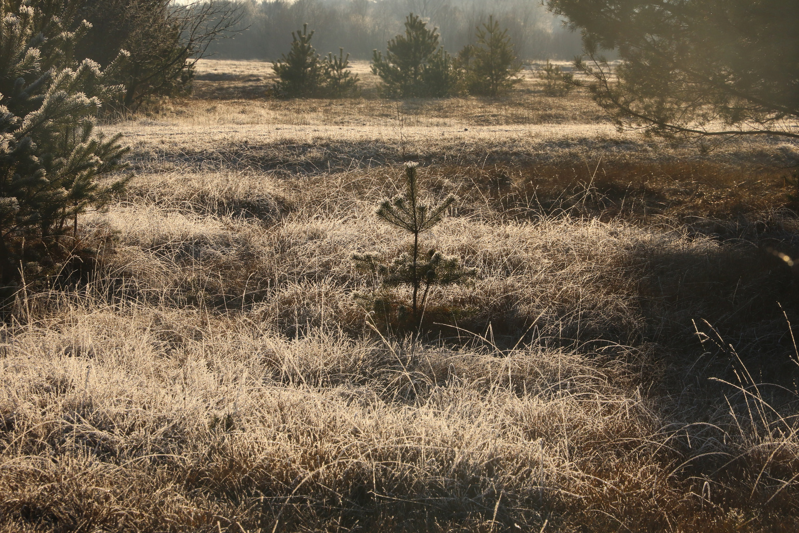 Winterstimmung