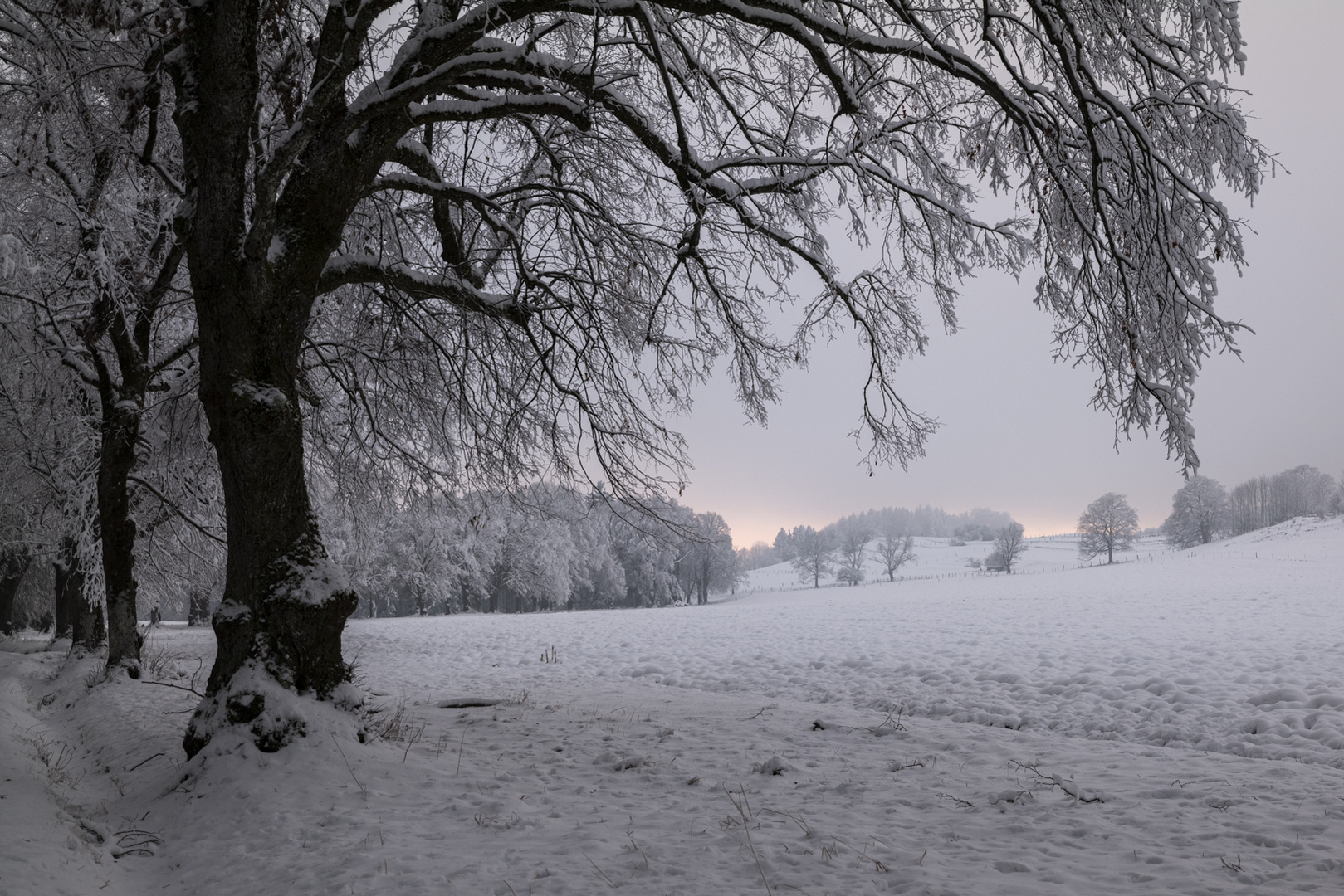 Winterstimmung