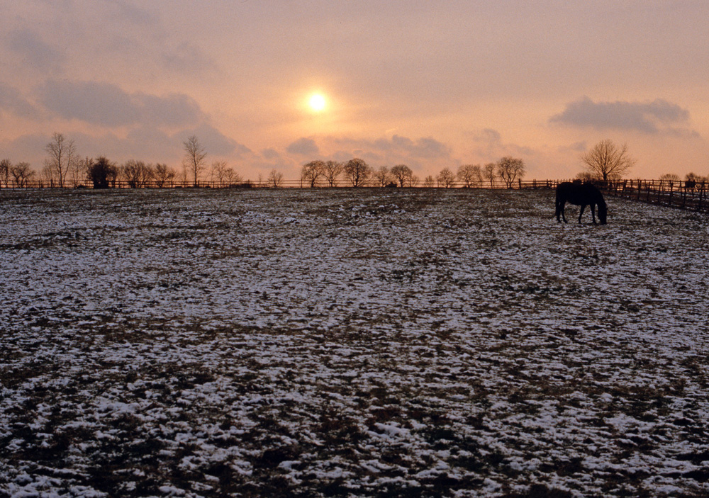 Winterstimmung