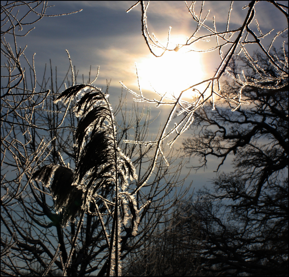 winterstimmung