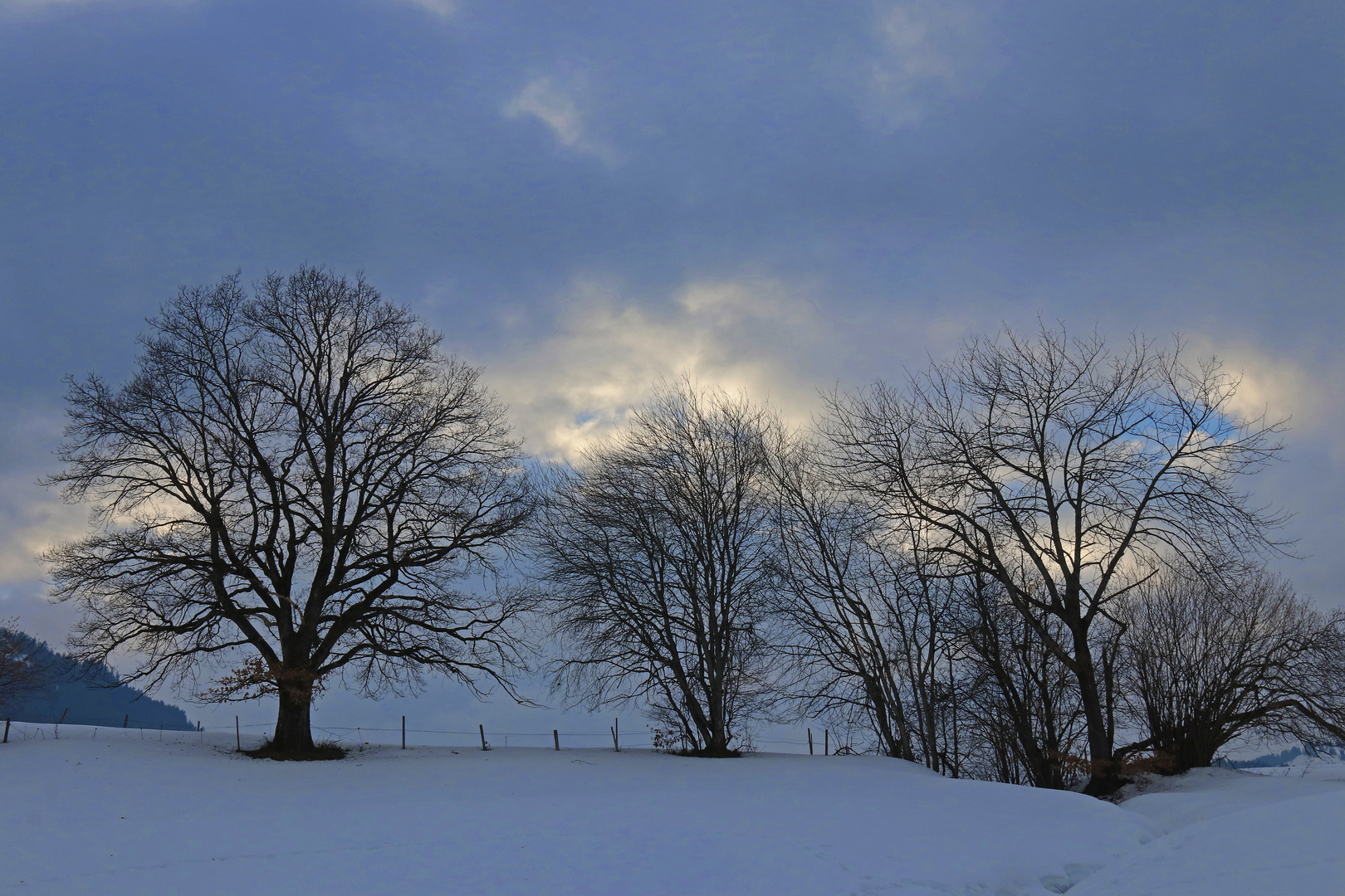 Winterstimmung