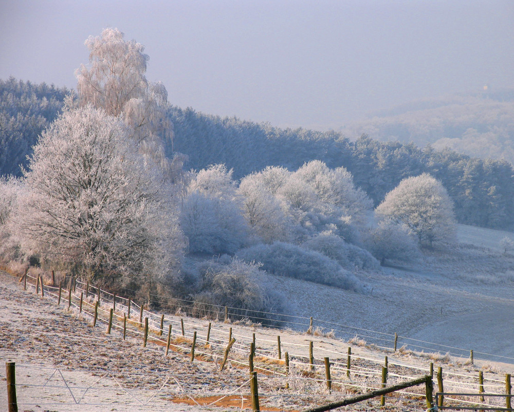 Winterstimmung