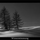 Winterstimmung